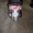 Продам мопед Yamaha Jog, двигатель 3kg - Изображение #1, Объявление #59778