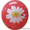 Воздушные шары. Оборудование для печати на шарах #59215