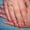 Красивые Нарощенные ногти,  600 руб!! #111366