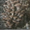 Готовые грибные блоки Вешенки - Изображение #1, Объявление #129926