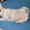Продам щенка чихуахуашечку - Изображение #1, Объявление #142291