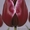 тюльпаны оптом новосибирск 8-913-728-21-25 Бугринская роща - Изображение #1, Объявление #168886