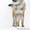 Чудо-пёс Парк ищет добрых и любящих хозяев ))) - Изображение #2, Объявление #185439