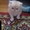 продаю персидских котят - Изображение #1, Объявление #185473