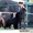 Бело-черные щенки Ньюфаундленда - Изображение #3, Объявление #397613
