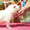 щенки якутской лайки - Изображение #4, Объявление #446902