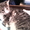 Кошкам(стерелизованые) и котятам нужен дом - Изображение #1, Объявление #506229