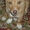 Найдена собака Затулинский ж/м - Изображение #2, Объявление #508347