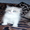 Котята породы Рэгдолл - Изображение #6, Объявление #473339
