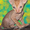 Котята корниш-рекса - Изображение #1, Объявление #541564
