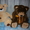 мягкие игрушки медведи - Изображение #3, Объявление #563497