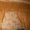 шторы ламбрекены гардины - Изображение #4, Объявление #579905