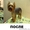 Профессиональная стрижка собак и кошекобак и кошек - Изображение #2, Объявление #636877