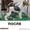 Профессиональная стрижка собак и кошекобак и кошек - Изображение #4, Объявление #636877
