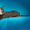 Кошка-Матрешка выбирает хозяев! - Изображение #1, Объявление #712706