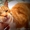 Ярко-рыжий солнечный котик из мультфильма 