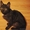 Кошечка Мила ищет дом, найдена на ул. Пригородная, Кировский р-н - Изображение #3, Объявление #988533