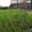 Биомат Сузой газон - Изображение #5, Объявление #1234201