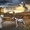 Шикарные щенки далматина с отличной родословной - Изображение #5, Объявление #1275507