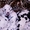Шикарные щенки далматина с отличной родословной - Изображение #4, Объявление #1275507