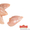 Мясо бройлеров - куриное филе грудки, окорочка, полуфабрикаты - Изображение #4, Объявление #165667
