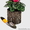 Горшок-цветочница Дуб - Изображение #3, Объявление #1421867