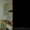 Продам 2-х комнатную квартиру на Котовского 21/1 - Изображение #2, Объявление #1448183
