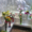 Оптово-розничный цветочный салон  - Изображение #9, Объявление #1605519