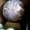 Шар из даурского флюорита - Изображение #3, Объявление #1709176