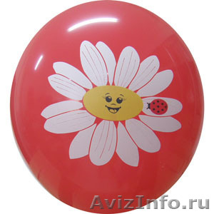 Воздушные шары. Оборудование для печати на шарах - Изображение #3, Объявление #59215