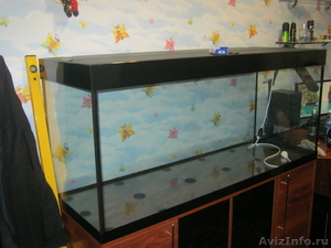 продам аквариум на 450л с тумбой - Изображение #2, Объявление #160683