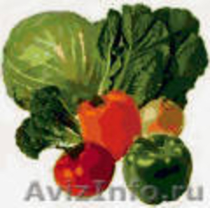 овощи по низким ценам - Изображение #1, Объявление #250616