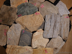 Камни натуральные: сланец,  песчаник, окатыш, валун, галька, златолит, алевролит - Изображение #7, Объявление #353359
