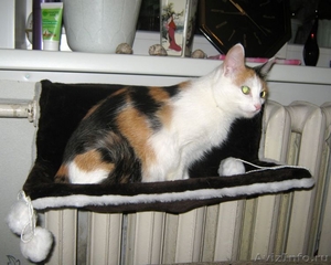 Меховые гамаки для кошек на батарею - Изображение #7, Объявление #366774