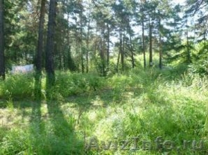 Продам земельный участок площадью 9 соток в парковой зоне Новосибирска - Изображение #3, Объявление #340654