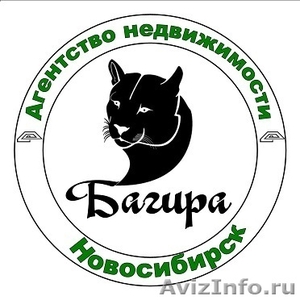 Аренда жилья в Новосибирске. А.Н. Багира - Изображение #1, Объявление #720335