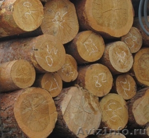 Продам круглый лес (сосна) - Изображение #1, Объявление #730973