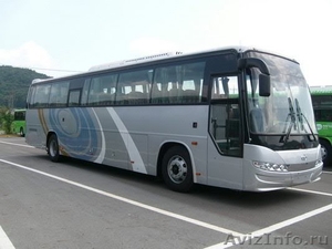 Продаём автобусы Дэу Daewoo Хундай Hyundai Киа Kia в Омске. Новосибирск. - Изображение #8, Объявление #849189