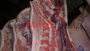 Мясо свинина 1-й, 2-й категории. От 16 тонн. - Изображение #1, Объявление #843319