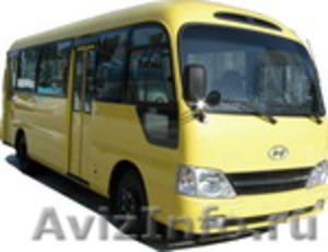 Продаём автобусы Дэу Daewoo Хундай Hyundai Киа Kia в Омске. Новосибирск. - Изображение #1, Объявление #849189