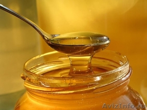 Экологический чистый мёд оптом - Изображение #1, Объявление #883724