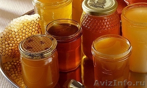 Продам свежий мёд 2013 года из Республики Алтай и Алтайского края - Изображение #1, Объявление #964633