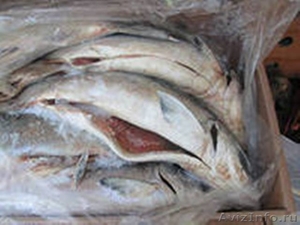 Продаём оптом рыбу замороженную - Изображение #1, Объявление #977427