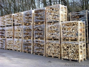Продам дрова твердых и сухих более 3 лет - Изображение #1, Объявление #989567