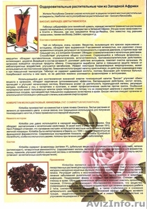 Растительные оздоровительные чаи. Кинкелиба. Западная Африка - Изображение #3, Объявление #1240273