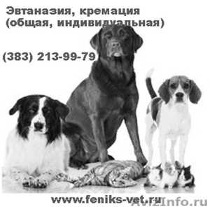Где похоронить, захоронить домашнее животное (собаку, кошку) в Новосибирске - Изображение #1, Объявление #1243629