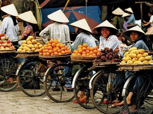 Горящие туры во Вьетнам - Изображение #2, Объявление #1509772