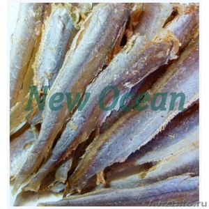 Сушеные морепродукты оптом от 100кг - Изображение #1, Объявление #1536344