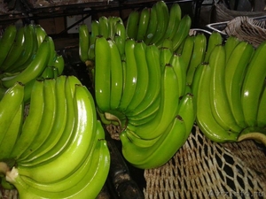 Бананы из Филиппин - Изображение #1, Объявление #1594006