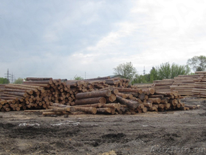 Продам деревообрабатывающее производство   - Изображение #6, Объявление #1591732